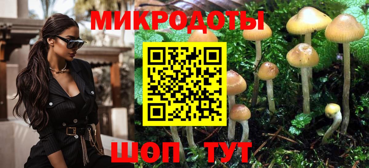 дарнет шоп  Галлюциногенные грибы Psilocybe  Вход с VPN  Краснокаменск 